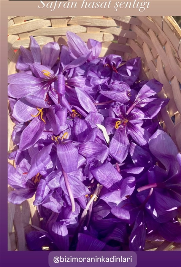 Kadın Girişimi Kooperatiflerinin Faaliyetleri