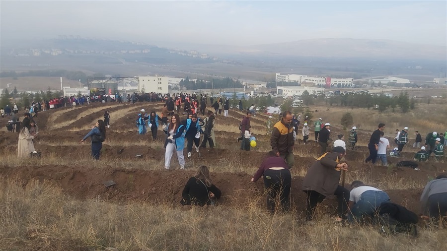 11 Kasım Milli Ağaçlandırma Günü